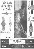 Certina 1971 012.jpg